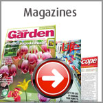Magazines-Shop